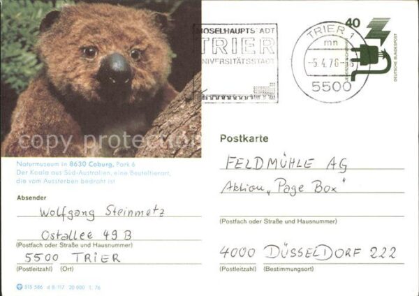 Trier Naturmuseum Koala