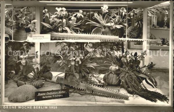 Berlin Grüne Woche 1959 Orchideenkultur