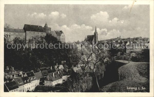 Leisnig Stadtbild mit Kirche