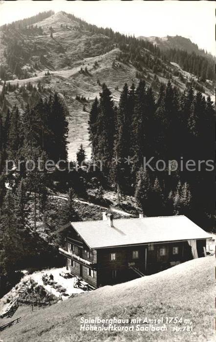 Saalbach-Hinterglemm Spielberghaus mit Amsel Höhenluftkurort