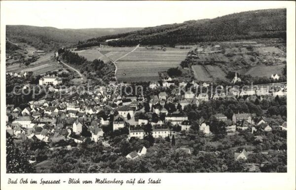 Bad Orb Blick vom Molkenberg auf die Stadt