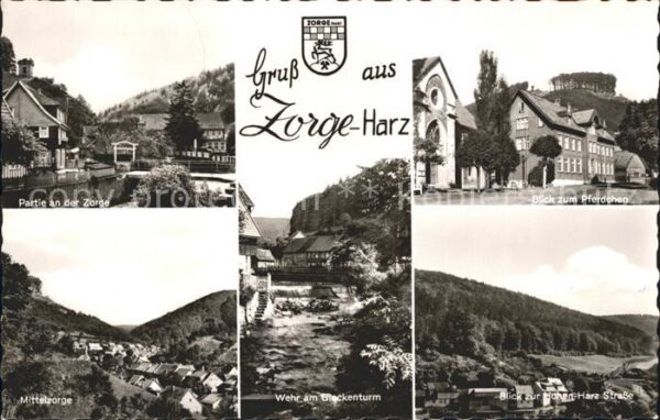 Zorge Partie an der Zorge Pferdchen Wehr Hohe