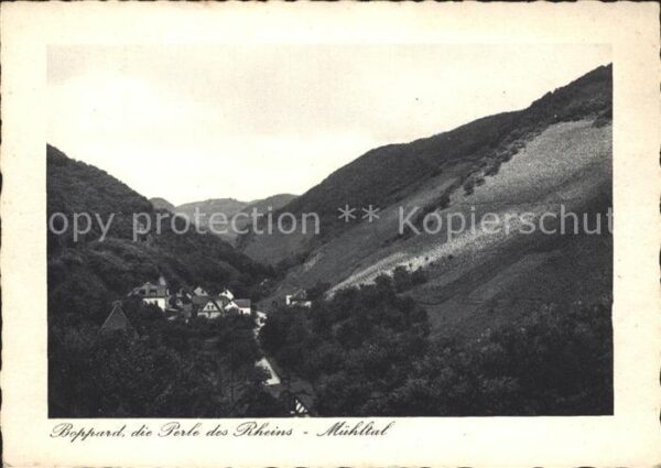 Boppard Rhein im Mühltal