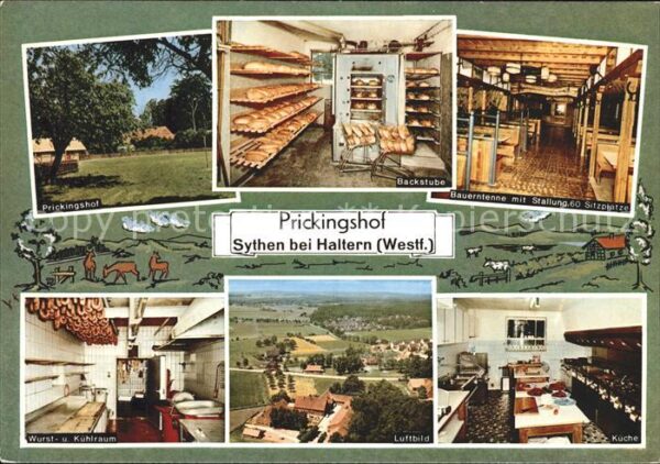 Sythen Prickingshof Westfälischer EWG Musterho