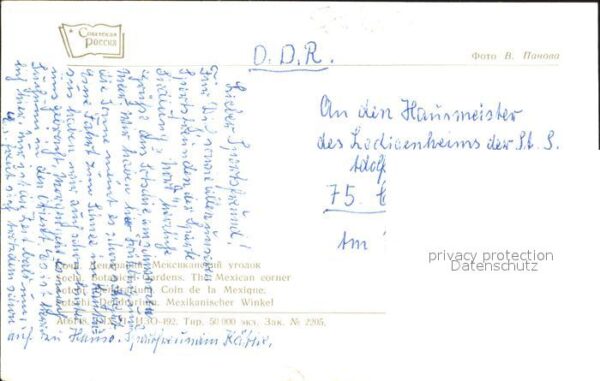 Sotschi Mexikanischer Winkel – Bild 2