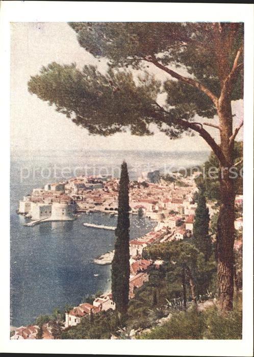 Dubrovnik Ragusa Hafenpartie Panorama