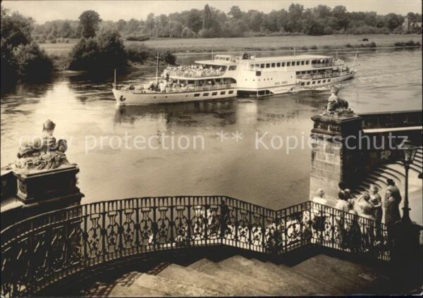 Dresden Weisse Flotte Luxusfahrschiff vor Schlo