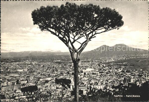 Napoli Neapel Panorama
