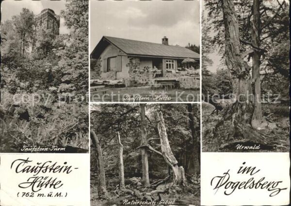 Vogelsberg Hessen Taufstein Turm und Hütte Urwald Natursc