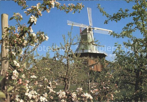 Windmuehle Twielenfleth