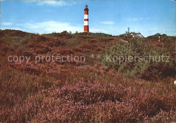 Leuchtturm Lighthouse Amrum Heide