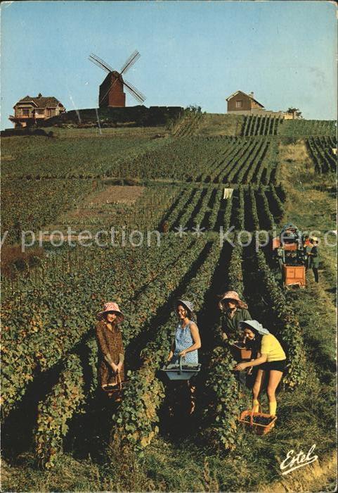 Windmuehle Vendages en Champagne Traubenlese