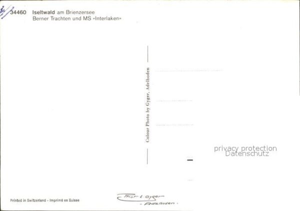 Motorschiffe MS Interlaken Iseltwald Brienzersee Tra – Bild 2