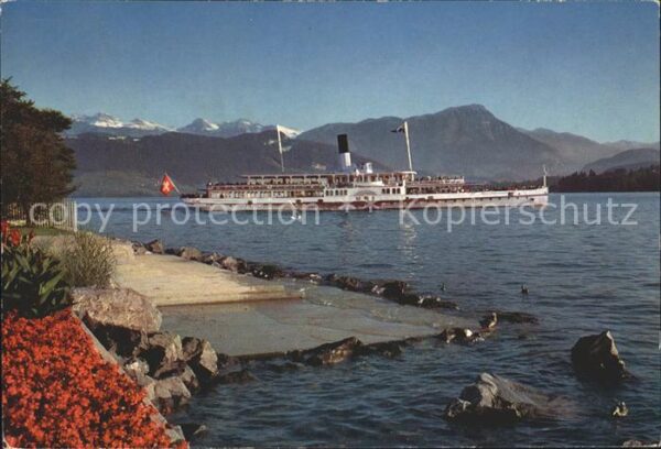 Dampfer Seitenrad Uri Luzern Vierwaldstättersee