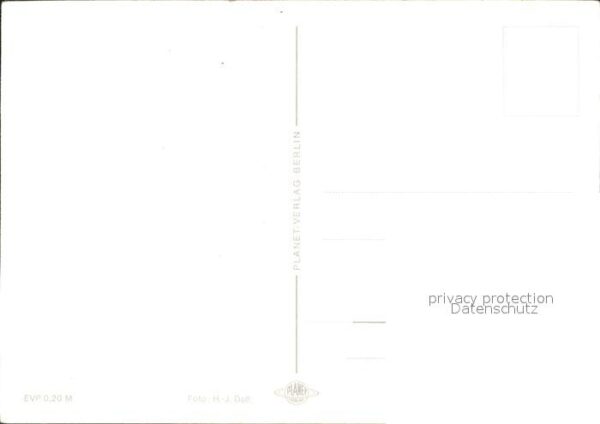 Voegel – Bild 2