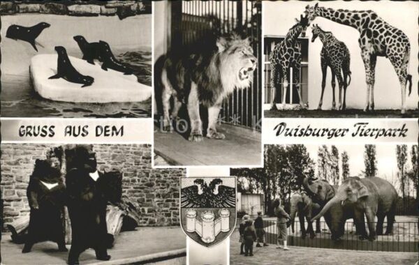 Zoo Duisburg Tierpark Löwe Bären Elefanten