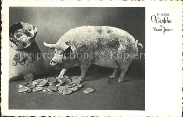 Schweine Neujahr Münzen