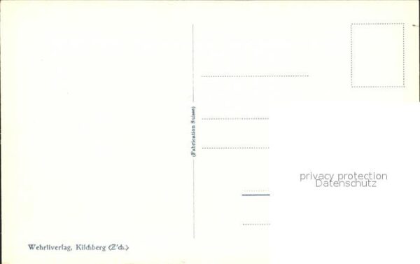 Kuehe – Bild 2