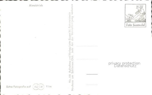 Kuehe Almabtrieb Wegkreuz – Bild 2