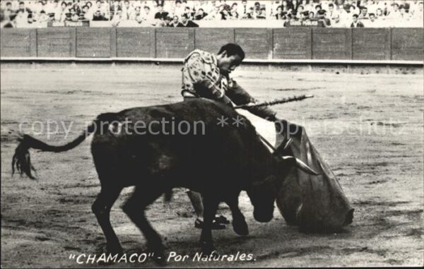 Stierkampf Torero Chamaco