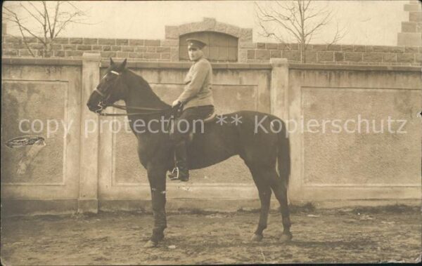 Pferde Privatfoto