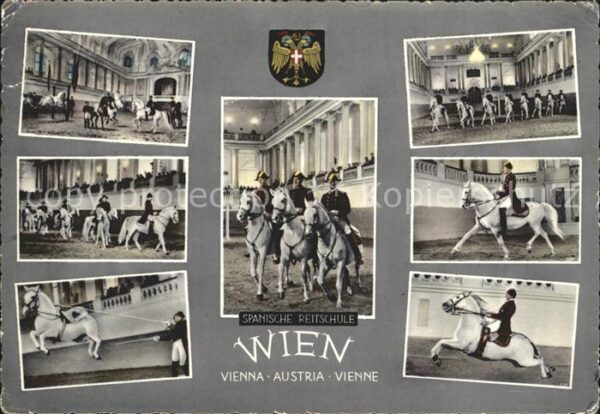 Pferdesport Pferderennen Reitsport Spanische Reitschule Wien