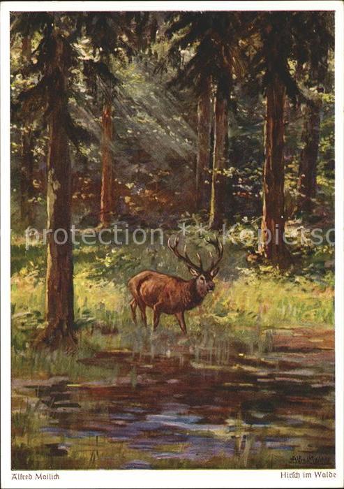 Mailick Alfred Mailick Hirsch im Walde Wiechman