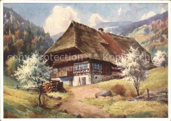 Merker W. Frühling im Schwarzwald