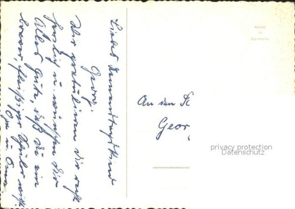 Petersen Hannes Blumen – Bild 2