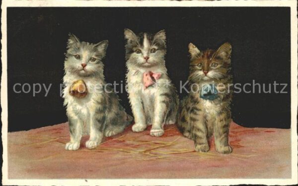 Katzen