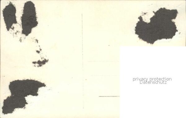 Verlag Ross Nr. 114/3 Wilhelm Dieterle Petta Frederick – Bild 2