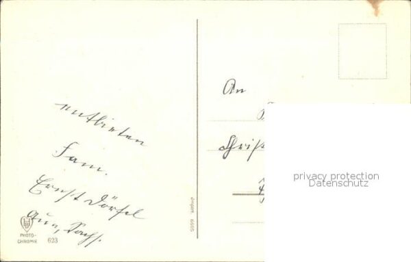 Konfirmation Glückwunsch Narzissen Weidenkätzchen – Bild 2