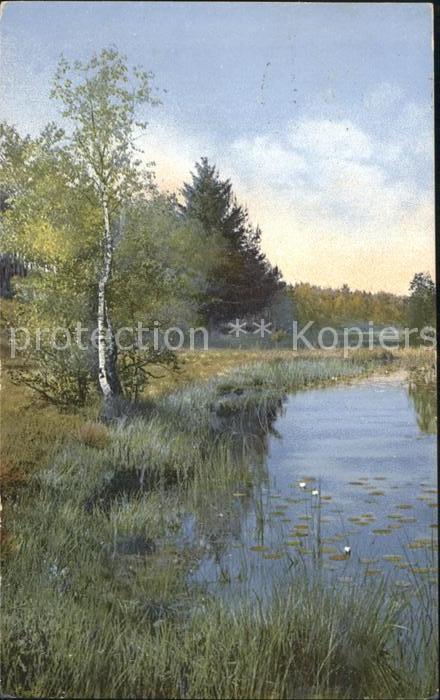 Verlag Photochromie Nr. 1315 Bäume Natur Fluss