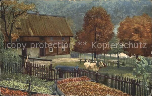 Kuehe Böhmen Babutin Landwirtschaft