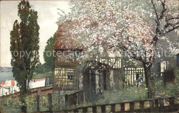 Verlag Photochromie Nr. 1579 Bäume Blüten Haus