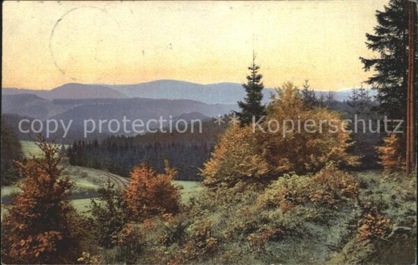 Verlag Photochromie Nr. 2557 Serie 131 Bäume Wald Berge