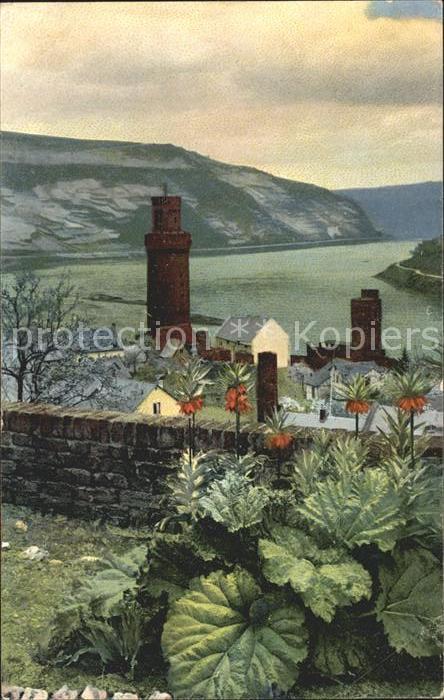 Verlag Photochromie Nr. 2428 Serie 121 Pflanzen Burg