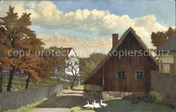 Verlag Photochromie Nr. 2039 Serie 87 Gänse Bauernhaus