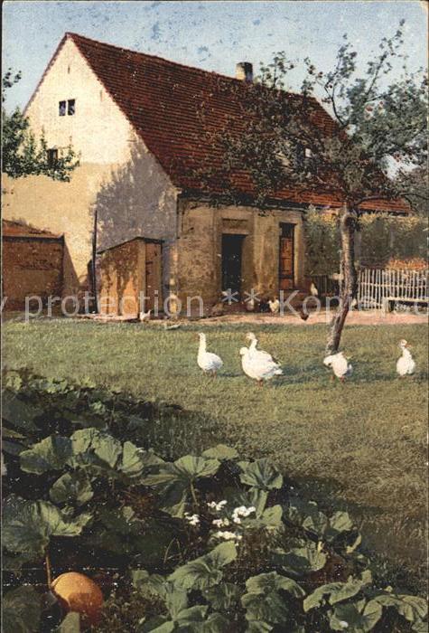 Verlag Photochromie Nr. 4032 Serie 254 Bauernhaus Gänse Hühner