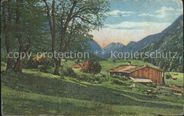 Verlag Photochromie Nr. 530/4 Bäume Berge Hütte