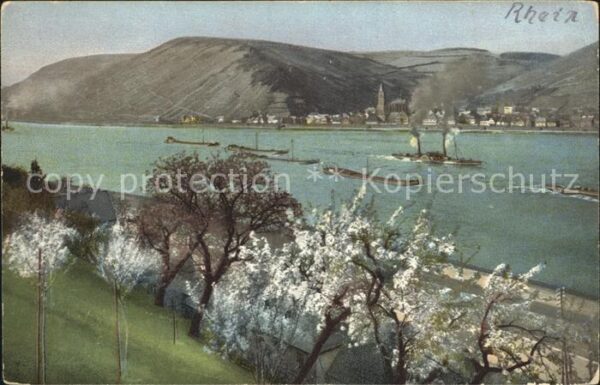 Verlag Photochromie Nr. 2417 Serie 120 Rhein Dampfer Bäume