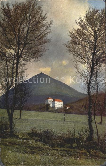 Verlag Photochromie Nr. 2519 Serie 128 Bäume Natur Berg