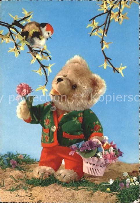 Teddy Teddybaer Teddy-bear Vogel Blumen