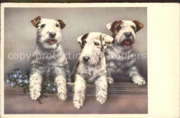 Hunde