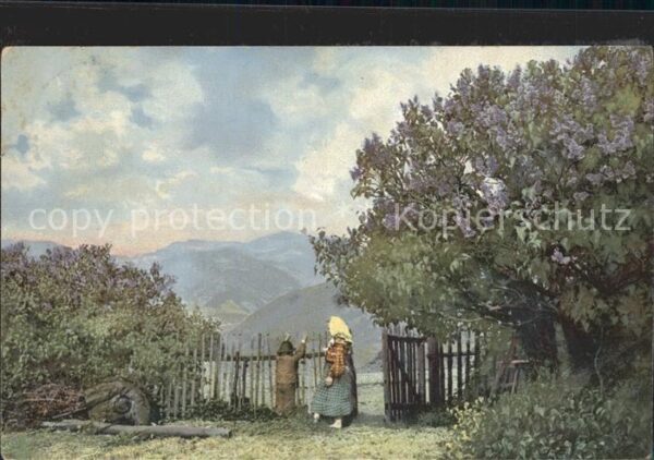 Verlag Photochromie Nr. 1586 Bäuerin Baum Blüten Berge Natur