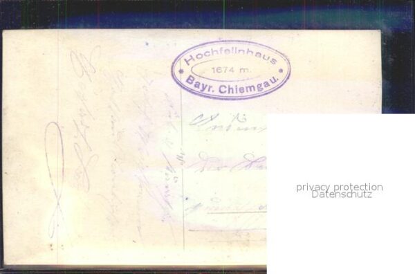 Gemse Berg Chiemgau – Bild 2