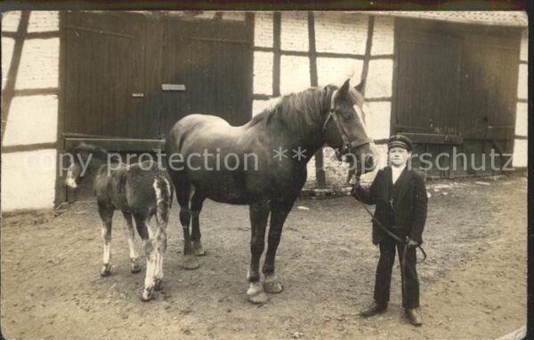 Pferde Pony Kind Privatfoto