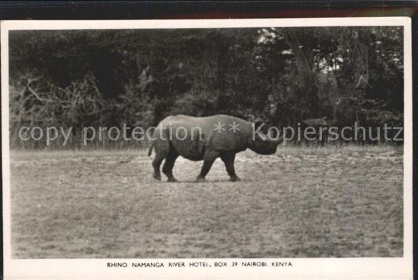 Nashorn Rhino Namanga River Hotel Nairobi