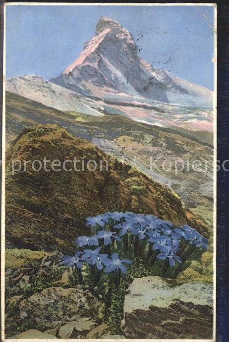 Verlag Photochromie Nr. 1476 Serie 578 Bayrischer Enzian Matter