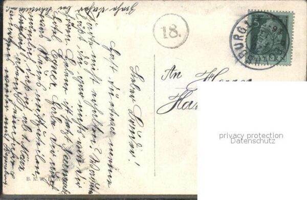 Hirsch – Bild 2